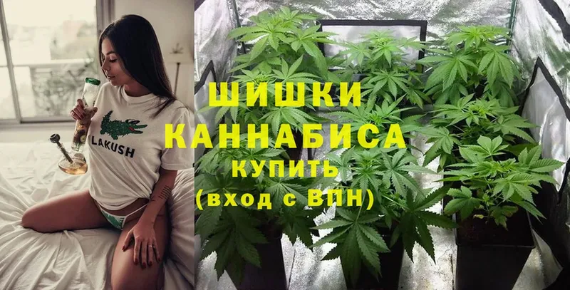 Шишки марихуана THC 21%  KRAKEN ССЫЛКА  Макушино 